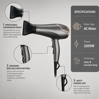 Sèche-cheveux professionnel à prix compétitif, température constante, séchage rapide, céramique PTC, 3 réglages de chaleur, avec lumière LED