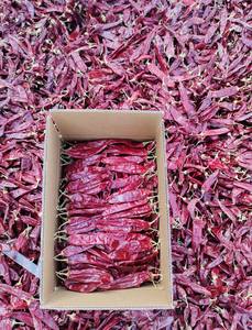 Piments <span class=keywords><strong>Carolina</strong></span> Reaper super piquants, piments du Yunnan en Chine, vente en gros pour la transformation alimentaire, marque LUCKY CHILLI - Product Image 3