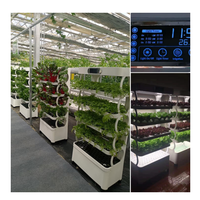Système hydroponique agricole système de culture hydroponique intelligent microgreen pour usage domestique