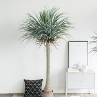 Arbre de Yucca Artificiel Vert 140-220cm Plante Artificielle en Pot pour Décoration Intérieure et Extérieure