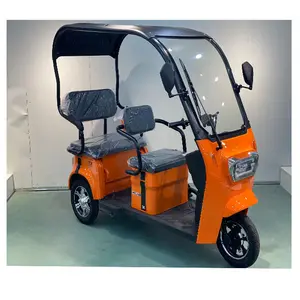 Pas cher Offre Spéciale adulte motorisé tricycle 3 roue vélo/trike scooter électrique pour les passagers