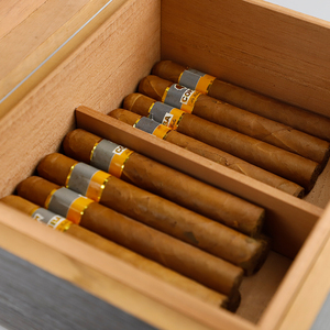 <span class=keywords><strong>Cajas</strong></span> <span class=keywords><strong>de</strong></span> <span class=keywords><strong>Puros</strong></span> Cubanas <span class=keywords><strong>de</strong></span> Madera <span class=keywords><strong>de</strong></span> Cedro a Precio <span class=keywords><strong>de</strong></span> Fábrica al por Mayor, <span class=keywords><strong>Cajas</strong></span> <span class=keywords><strong>de</strong></span> <span class=keywords><strong>Puros</strong></span> con Superficie Lisa - Product Image 6