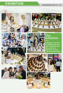 Bán số lượng lớn của tinh khiết tự nhiên chưa tinh chế Shea <span class=keywords><strong>Butter</strong></span> dầu cho mỹ phẩm và xà phòng - Product Image 6