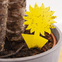Pièges à insectes super adhésifs pour plantes de pépinière: protégez les jeunes plantes de votre pépinière des insectes nuisibles