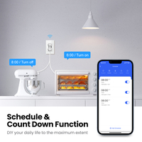 Prise de courant intelligente Tuya 100-240v Avatto brésil Wifi prise murale intelligente Type C fonctionne avec l'application alexa Google Home