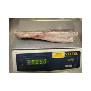 Factory Price Frozen Fish Hake HGT of good price and good quality