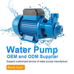 Pompe à eau périphérique électrique domestique pour jardin, moteur électrique 0,5 CV 370 W 1 pouce 220 volts <span class=keywords><strong>QB60</strong></span> 0,75 CV 1 CV - Product Image 5