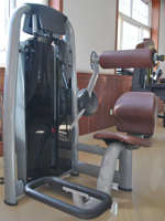 Máquina de extensión de espalda con pin de carga SK, equipo comercial de gimnasio para entrenamiento de fuerza muscular sentado