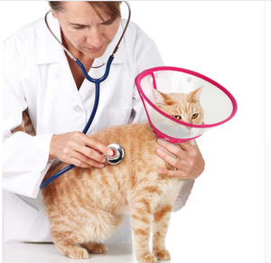 समायोज्य नरम पक्ष विरोधी काटने वाले पीवीसी रिकवरी सुरक्षात्मक शंकु चिकित्सा पालतू कुत्ते बिल्ली के लिए एलिज़ाबेथन कॉलर - Product Image 5