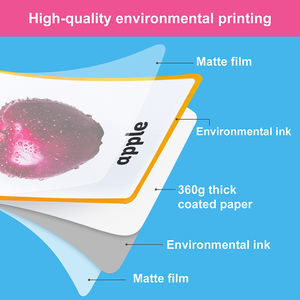 Benutzer definierte englische Karteikarten Kinder pädagogischer Glanz Laminierung Baby Studie kognitives Spiel Papier material Benutzer definierte Größe CMYK Farbe - Product Image 6