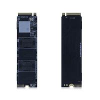 SSD M.2 SATA 128 Go/256 Go/512 Go/1 To pour Ordinateur Portable et de Bureau – Prise en charge du logo OEM