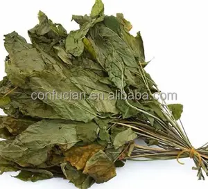 High Quality Dried Ginseng Leaf