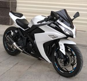 Moto sportive double, petite moto Ninja 250 Horizon H2, imitation course 400cc, course R3V6, course sur route, peut être cartographiée - Product Image 5