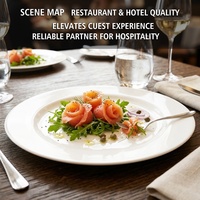Assiettes plates en porcelaine blanche de 680 g, 10 pouces, de qualité supérieure, pour la restauration, les banquets d'hôtel, la vaisselle de restaurant