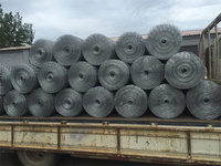 Rollo de valla de acero duradero con orificio estándar galvanizado de 1/2 ", precio de malla soldada, rollos de malla de alambre soldado de acero para cercas de animales