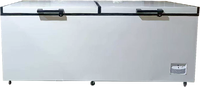 Congélateur coffre horizontal solaire OEM grande capacité 1380L avec panneaux solaires et batterie pour la conservation du poisson en magasin