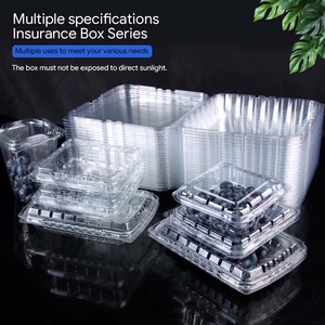 กล่องพลาสติกใส่บลูเบอร์รี่แบบใช้แล้วทิ้ง PET แบบฝาพับ ผลิตตามสั่ง ขายส่งจากโรงงาน - Product Image 5