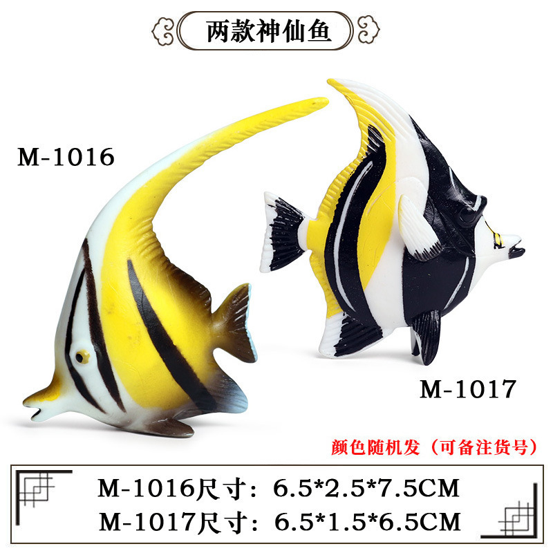 Poisson ange (1 style sur 2 aléatoire) [0,03 kg]