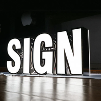 Lettres en acier inoxydable personnalisées avec éclairage LED en acrylique, enseignes de logo pour bâtiments extérieurs