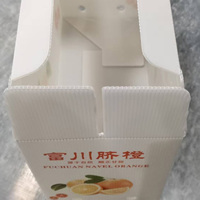 Boîte en carton PP pliable, résistante à l'humidité, écologique et alimentaire, avec impression de logo personnalisé pour les oranges et les fruits tropicaux