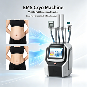 Factory Price EMS <strong>Cryotherapy</strong> <strong>Machine</strong> with RF Vacuum Roller Cryo Slimming <strong>Machine</strong> - Product Image 1