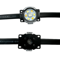 DC24V 100ft avec 60 LEDs RGBIC + blanc chaud/froid 5 couleurs adressables LED lumières extérieures permanentes IP68 couleur pleine maison avant-toit Lig