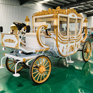 Haute qualité Royal Pumpkin ZOWN 4 roues chariot électrique pour les visites de mariage 4-6 personnes 2 ans de garantie en vente - Product Image 6