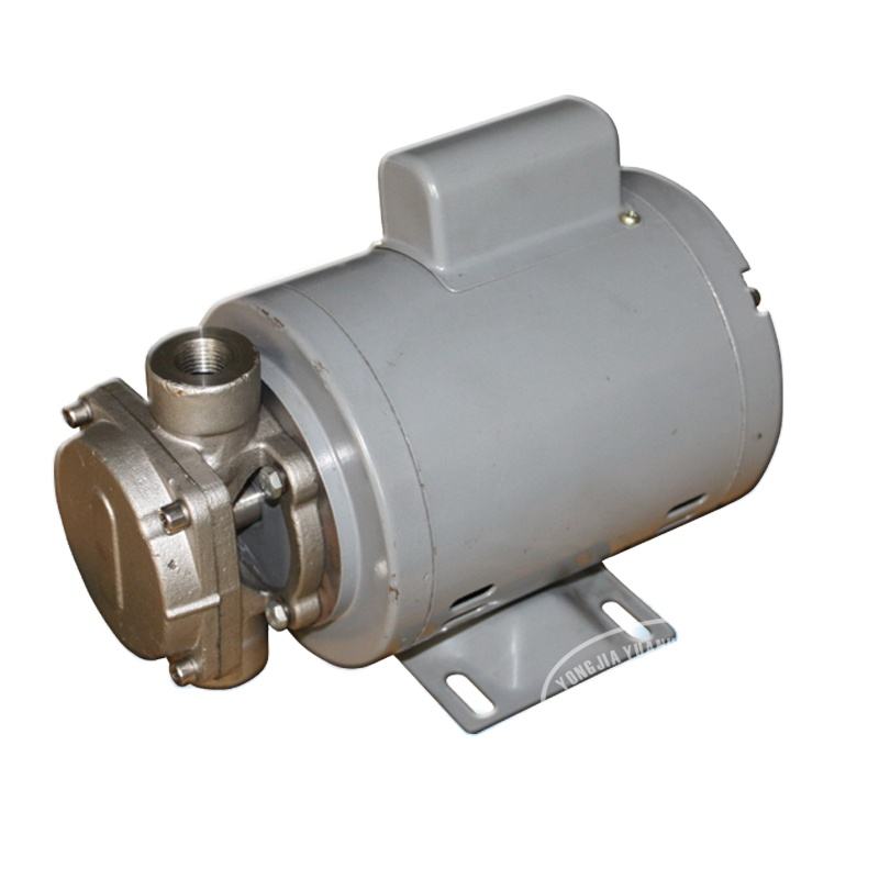 Electric Cooking Oil Pumps Efficient Durable Solutions