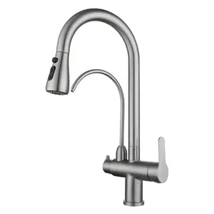 SUS304 Kitchen Sink Pull Out Faucet 2 Handle 3 Way Torneiras De Cozinha Mixer Tap Purificador De Água Torneira De Bebida Direta