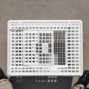 Jaula de transporte de plástico de alta calidad para <span class=keywords><strong>pollo</strong></span> vivo Mejor precio Jaula de transporte de plástico para <span class=keywords><strong>pollo</strong></span> Jaula de transporte para la venta - Product Image 2