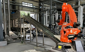 Hiệu quả cao điện tự động ODM/OEM Robot giải nén máy mang cho cấp thực phẩm bột nhựa hạt Túi Phim - Product Image 5