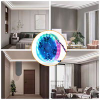 Tira de Luces LED Flexible RGBIC SMD5050 Programable y Direccionable para Decoración de Interiores, 3000K 4000K 6500K 12V 24V