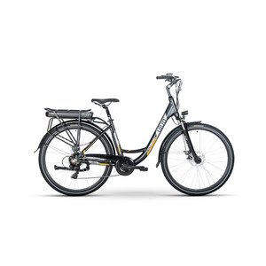 ซิตี้ไบค์ไฟฟ้า250W พร้อมแบตเตอรี่ที่ซ่อนอยู่สำหรับการส่งออก - Product Image 1