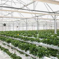 Panneaux de culture d'intérieur système de culture hydroponique avec lumières led de faible puissance poussent pour la fraise