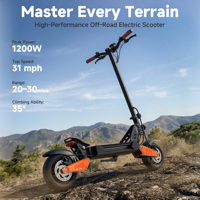 Hochleistungs-Elektroroller 800W für Erwachsene 11 Zoll Allterrain-Reifen 48V Akku Langstrecken-E-Scooter USA-Bereit