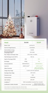 Batería de almacenamiento doméstico <span class=keywords><strong>Dyness</strong></span> de 5 kWh, 51.2 V, 100 Ah, LiFePO4 con BMS y WiFi, 8000 ciclos, paquete de baterías solares LiFePO4 para sistema inversor híbrido - Product Image 5