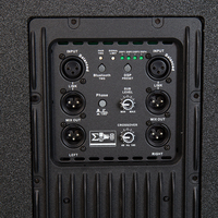 2000W RMS Powered Double 18 "Subwoofer DSP Système de réseau de lignes Bluetooth pour les événements en plein air et la durabilité prête pour la route