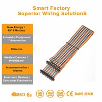 OEM ODM Maßgefertigtes Hochflexibles PVC IDC FFC FPC Flachbandkabel Molex Dupont Sur Pin IP65 Kabelbaum Industrielle Steuerungseinheit