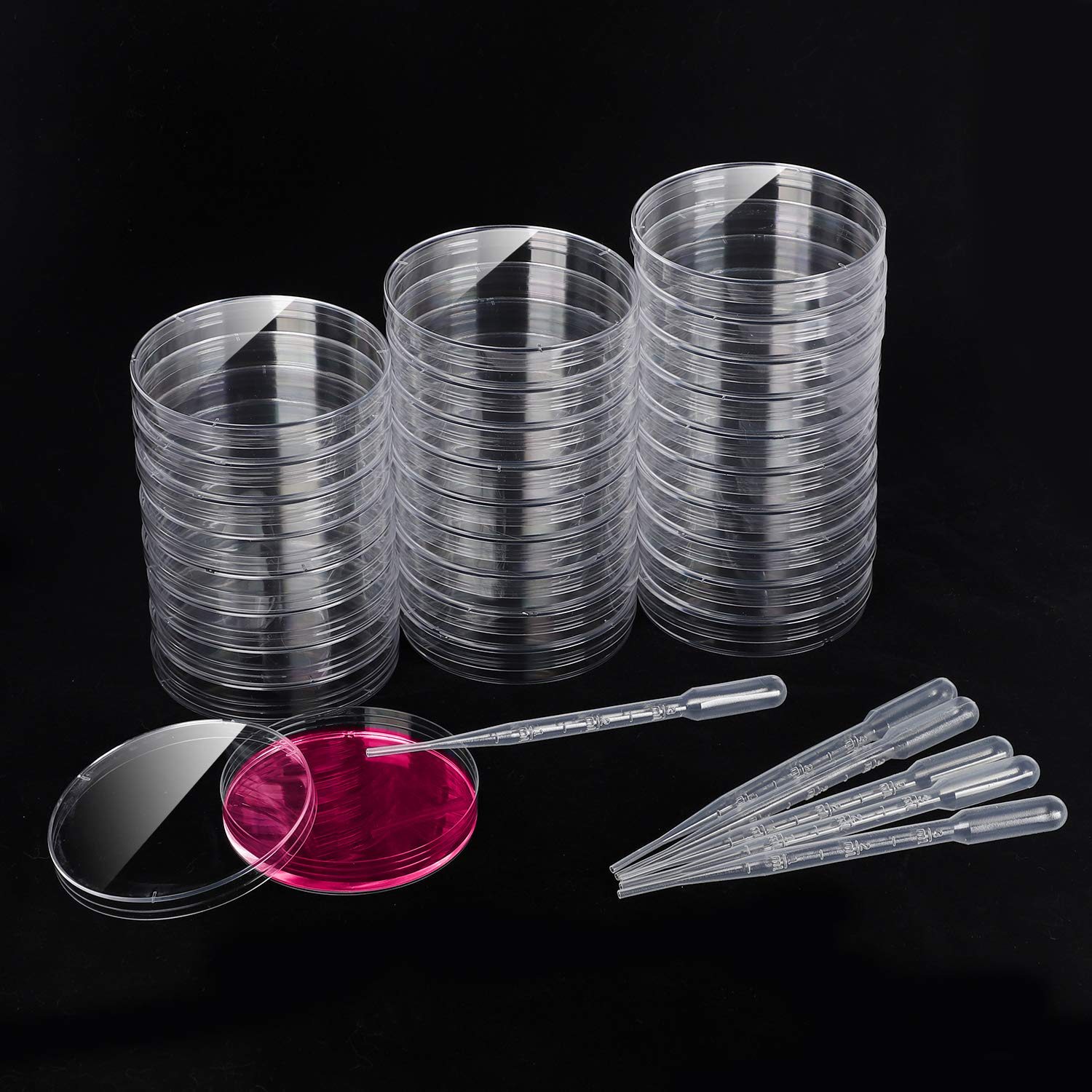 Plastic Petri Dish 60mm Disposable Petri Dishes 6cm