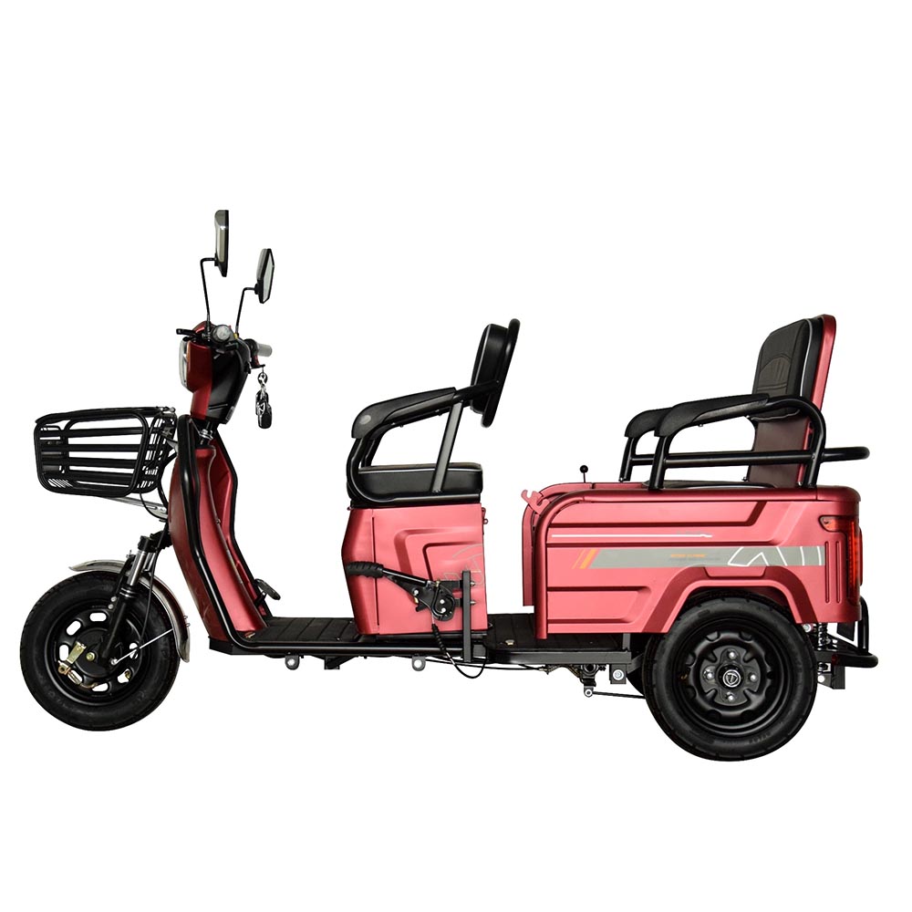 Elektrikli üç tekerlekli bisiklet scooter 48V 800W 600W 500W differiential motor üç tekerlekli trike CE EEC yetişkin için yolcu