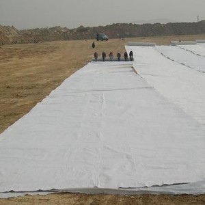 Géotextile non tissé en PP polyester de style industriel, écologique, pour l'agriculture extérieure et les décharges. - Product Image 2