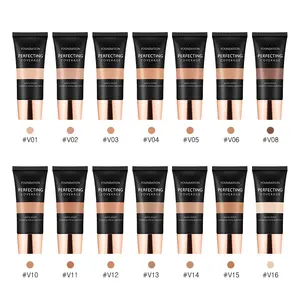 Tidak Ada Logo Lama Memakai Penutup Penuh Minyak Gratis Cair Matte Foundation (Baru) Label Pribadi Produsen Makeup