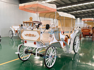Carroza de Caballos de Lujo para Bodas y Paseos Turísticos, Carrozas de Caballos Eléctricas para Maratones en Venta, Carroza para Bodas - Product Image 6