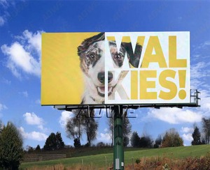 Aowe HD đường phố cực Màn hình <span class=keywords><strong>LED</strong></span> quảng cáo ngoài trời hiển thị P6 P8 P10 Bảng điều chỉnh kỹ thuật số biển quảng cáo - Product Image 4