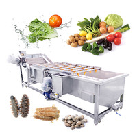 HNOC 10KW Automatische Groente- en Fruitbelletjeswaslijn Luchtbelreinigingsmachine 3725mm 304 RVS Commercieel