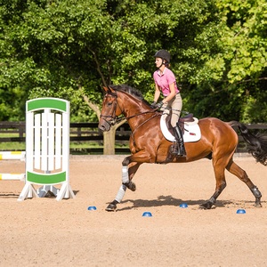 <strong>Aluminum</strong> <strong>Jump</strong> Tracks Keyhole Design Portable Rust Resistant Wholesale Deals Smooth Edges Rust Proof Horse <strong>Show</strong> <strong>Jumps</strong> - Product Image 6