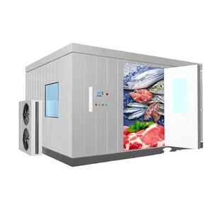 Fast Cooling Fresh Vegetables Solar Power Container Deep Freezer Cold Room