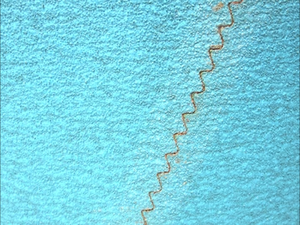 200x750mm zircone bandes abrasives rouleau de tissu de sable large <span class=keywords><strong>bande</strong></span> <span class=keywords><strong>abrasive</strong></span> <span class=keywords><strong>pour</strong></span> ponceuses <span class=keywords><strong>à</strong></span> <span class=keywords><strong>bande</strong></span> polissage bois - Product Image 6