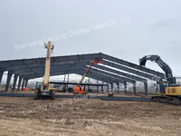 Estructura de Acero Ligero Prefabricada para Naves Industriales / Fábricas / Almacenes, Diseño de Estructura de Acero