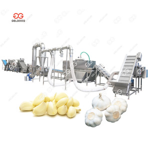 Ensemble éplucheur automatique d'ail Gelgoog, machine séparatrice de gousses d'ail, ligne de séparation et d'épluchage des gousses d'ail - Product Image 2